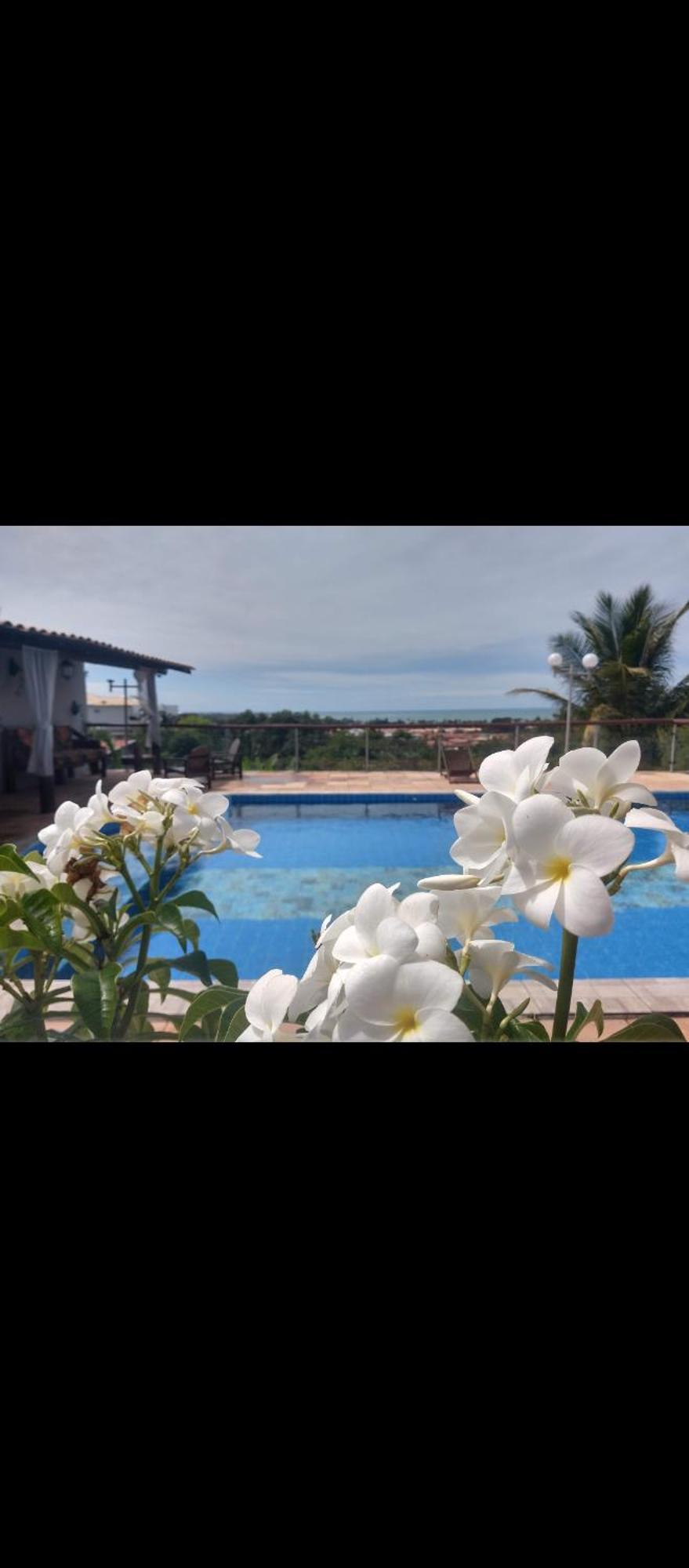 Casa De Luxo Em Meio A Natureza 18 Casa de férias